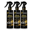 RESTAURADOR DE PINTURA ÁGUIA PRO SHINE